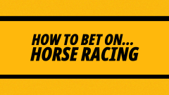 How to bet on Horse Racing